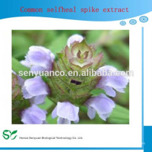 Natural High Quality Common Selfheal Fruit-Spike Extract